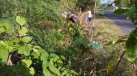 IMG-20250822-WA0102