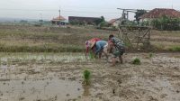 IMG-20260506-WA0047
