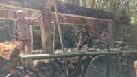 IMG-20260721-WA0050