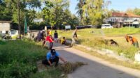 IMG-20260726-WA0107