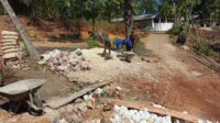 IMG-20260927-WA0044